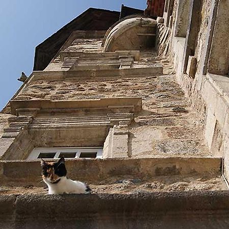 Maison Au Loup - Superbe Ancien Hotel Particulier Du Xvie Siecle Au Coeur De La Vieille Ville Du Puy Le Puy-en-Velay Eksteriør bilde