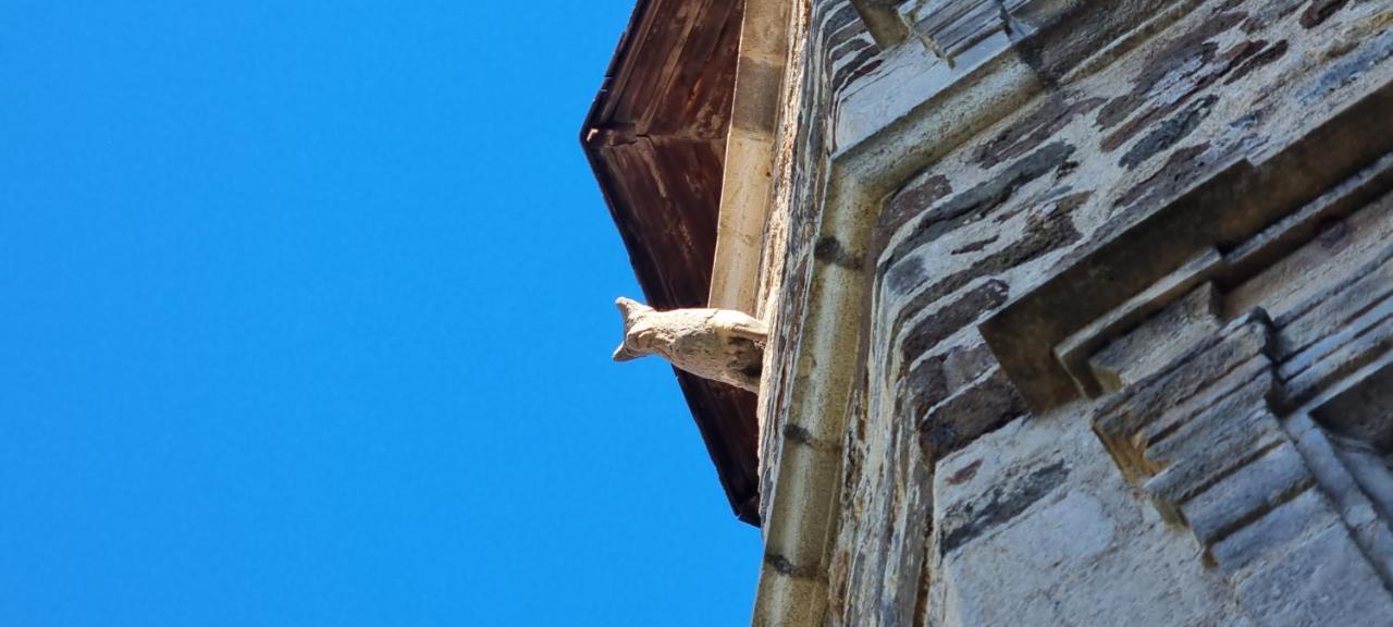 Maison Au Loup - Superbe Ancien Hotel Particulier Du Xvie Siecle Au Coeur De La Vieille Ville Du Puy Le Puy-en-Velay Eksteriør bilde